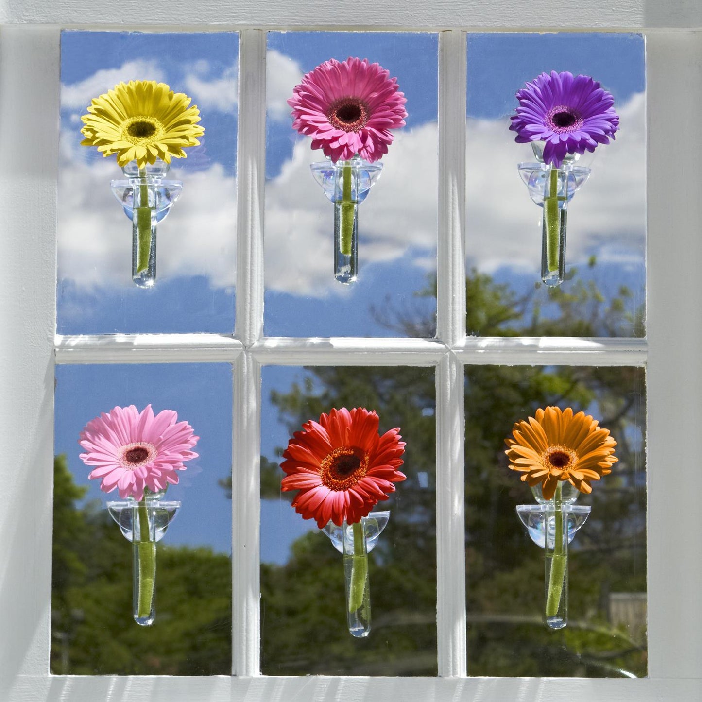 Wall Flower Vase in Gift Box