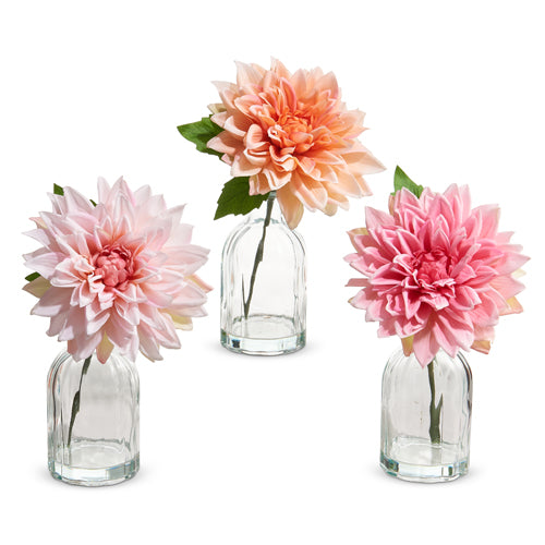 Dahlia Flower Stem in Glass Vase