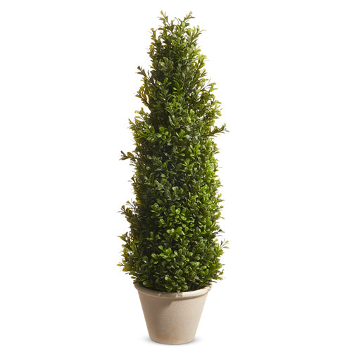 Potted Boxwood Topiary