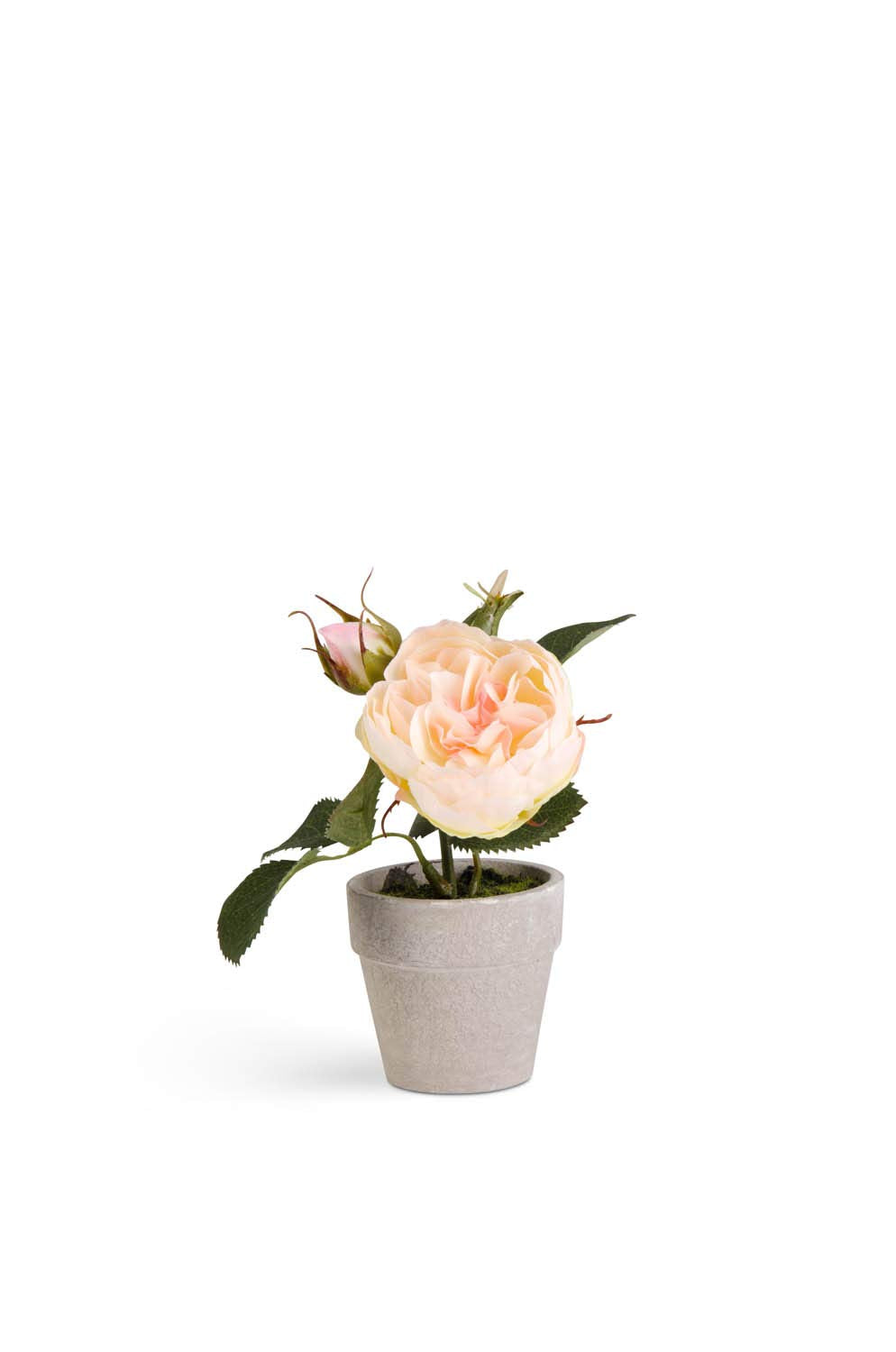 Countryside Green Cachepot w/ Potted Faux Roses