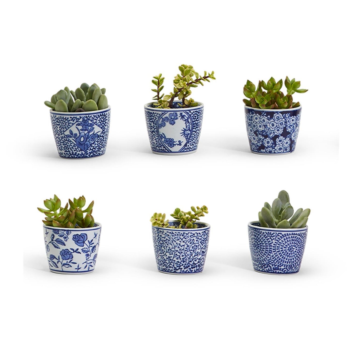 Canton Collection Cachepot w/ Potted Faux Roses
