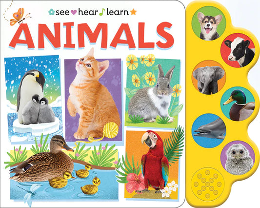 Animals- See, Hear, and Learn