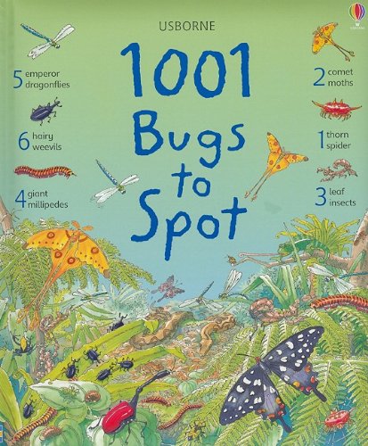1001 Bugs to Spot Book