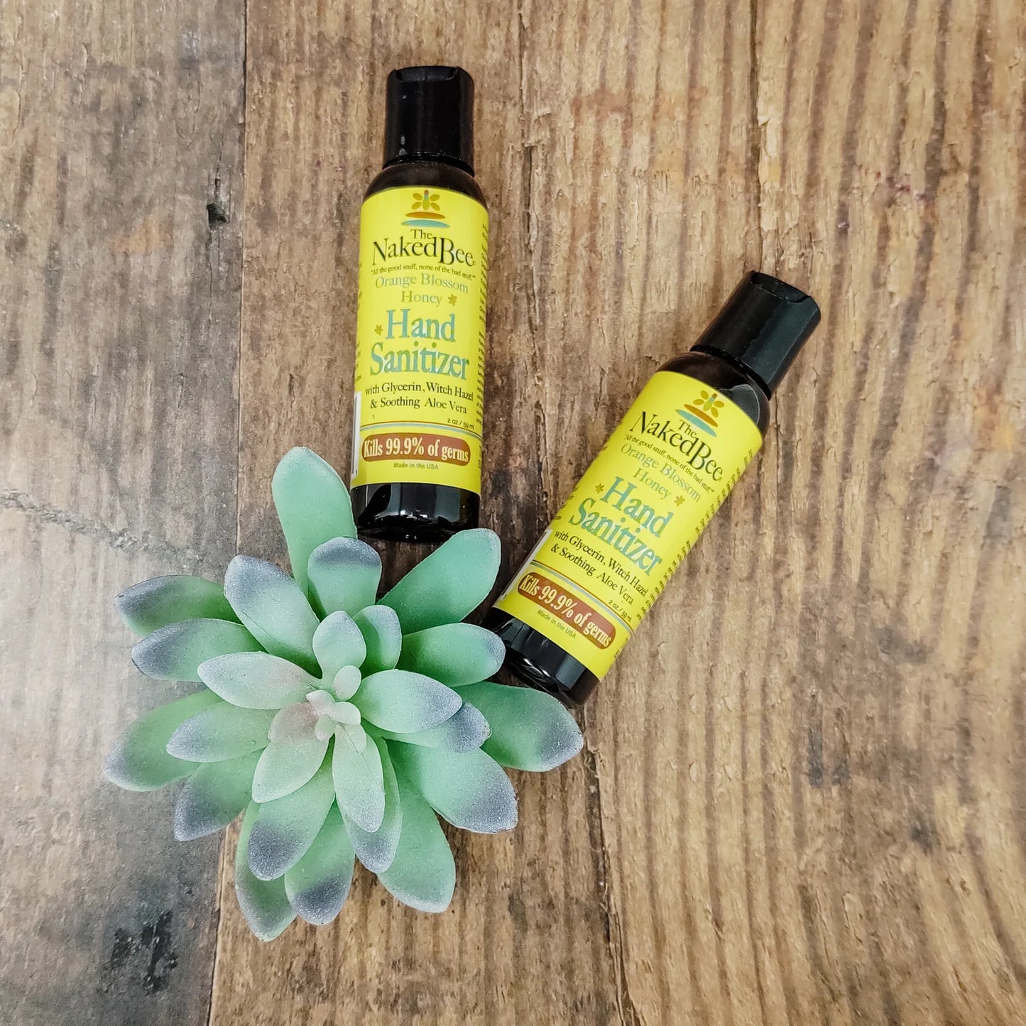 Hand Sanitizer Containers laying on a table with a green succulent